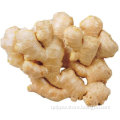 Dried Ginger Whole Dry Ginger for EU Market